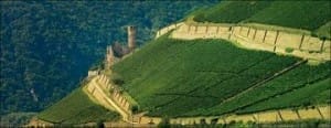 Unknown-1