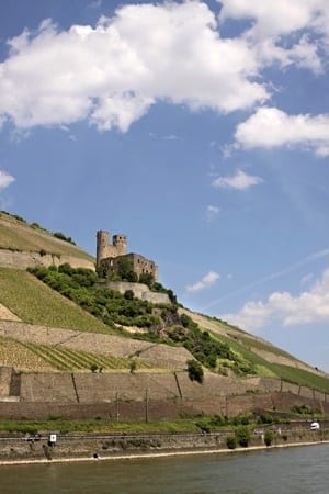rheingau