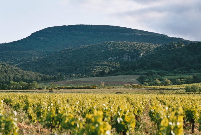 Landskap langedouck
