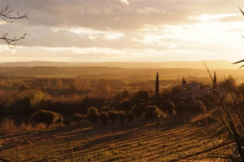 Domaine G