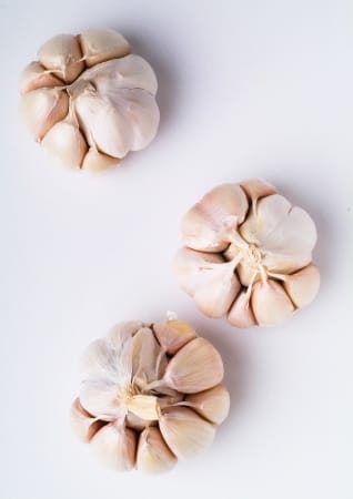 14912850 - garlic. bulb / head of garlic on background
