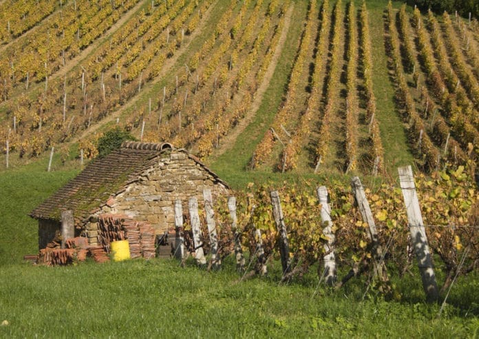 38465770 - house and vineyard in the heart of the jura, arbois, france