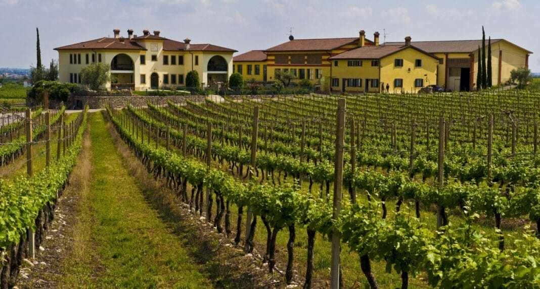 Monte del Frá