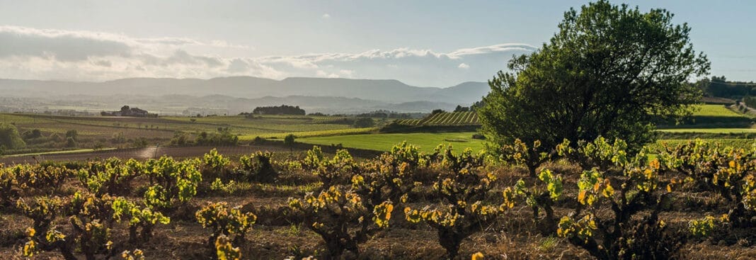 historia_header3_02-1