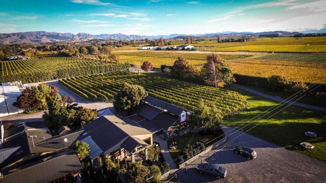 Forrest Wines LTD