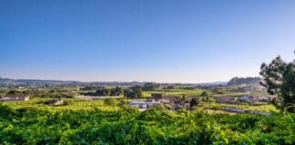 Bodegas Chaves