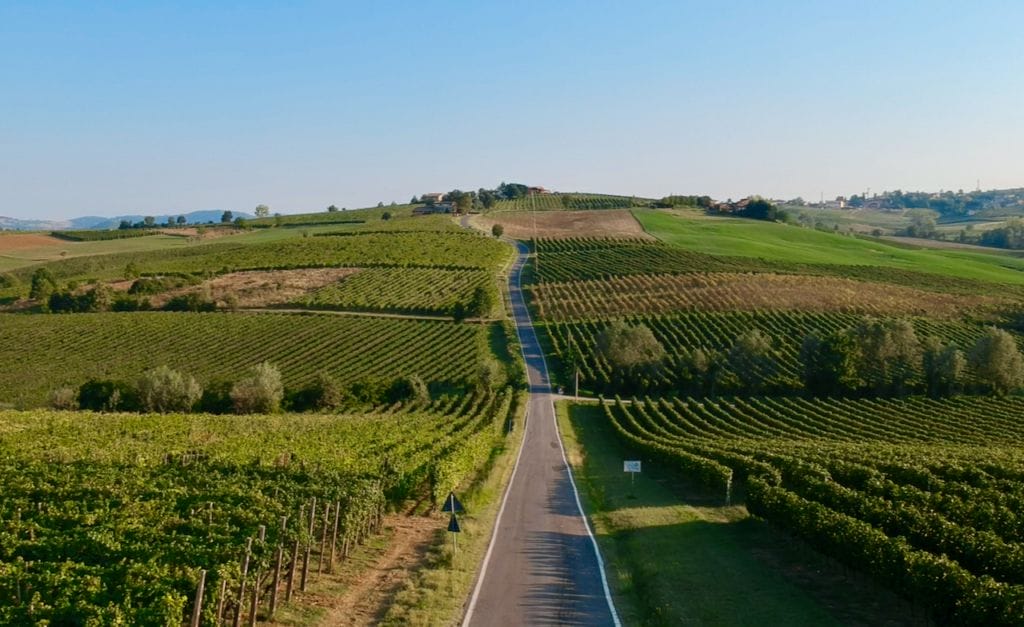  Colli Piacentini