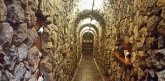 Viñatigo Listán Negro Rosado 2023