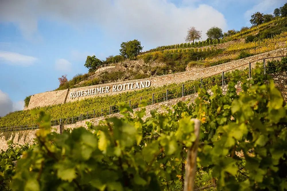Rheingau