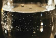 Musserende vin – den store guiden til champagne, crémant, cava, prosecco og sekt